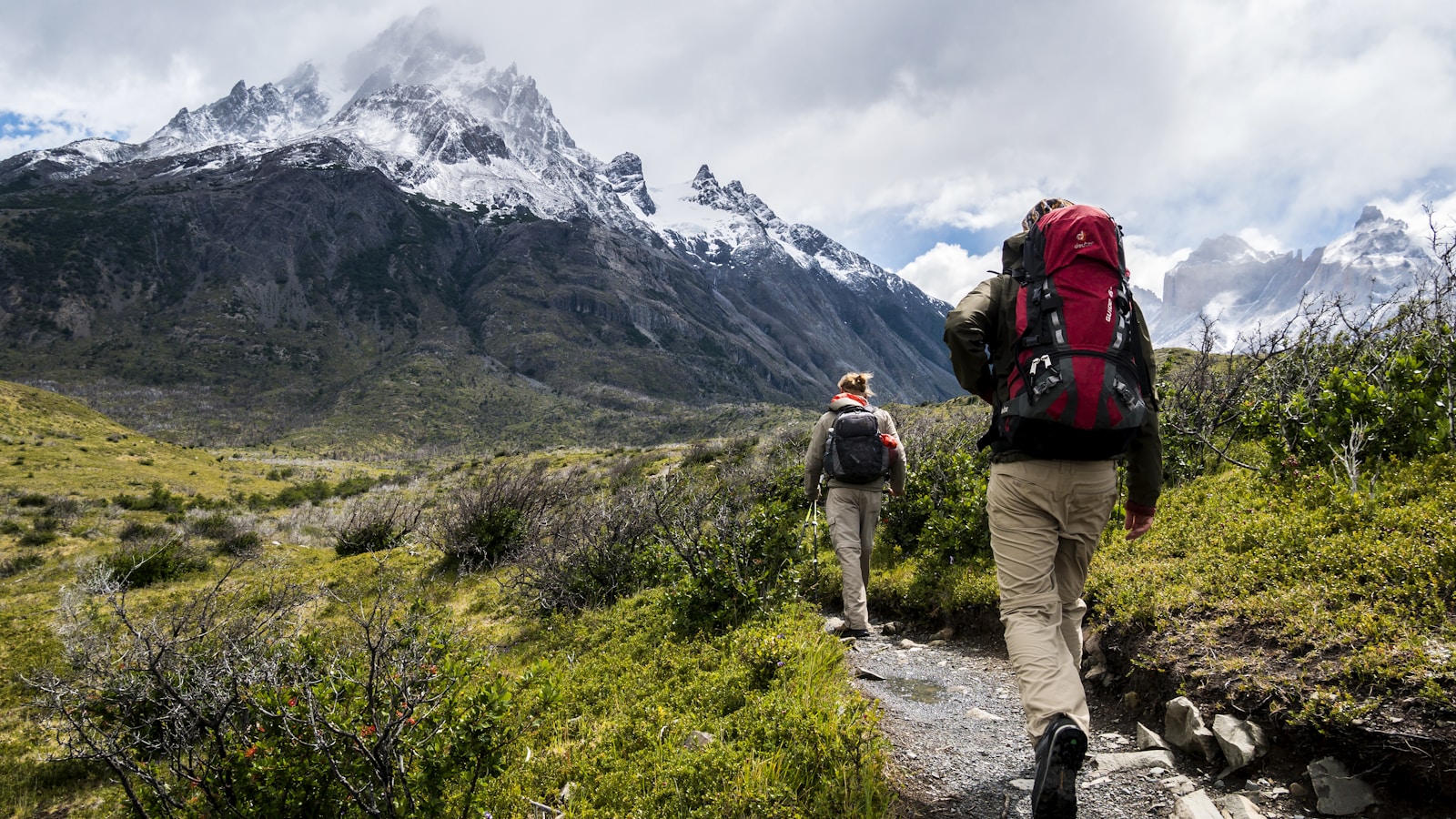 Hiker on a stone path with alpine meadows and mountain peaks behind